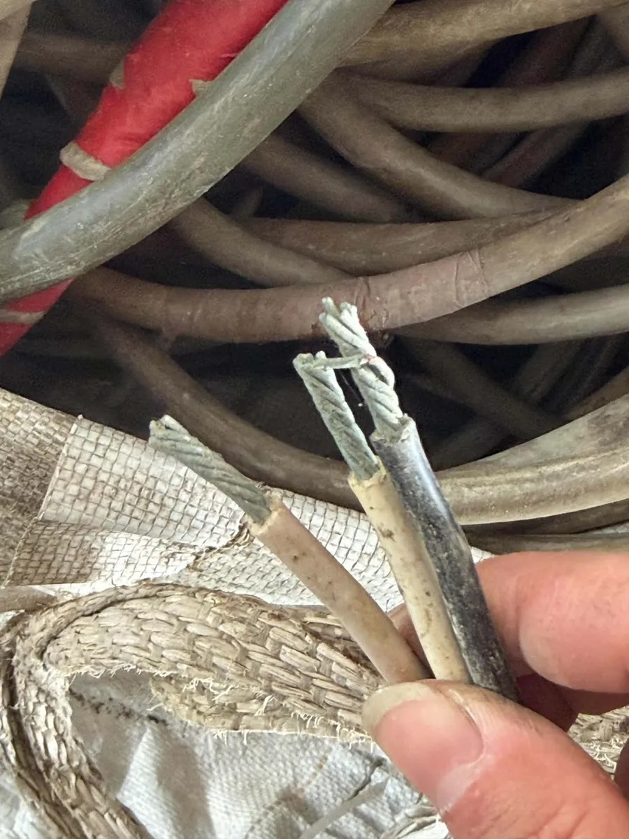 焚燒去皮的風險與法律責任